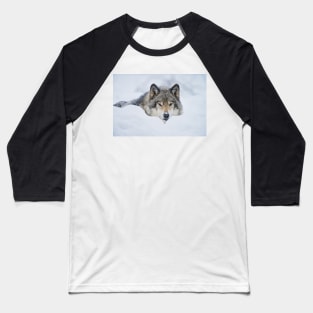 Gray Wolf Baseball T-Shirt
